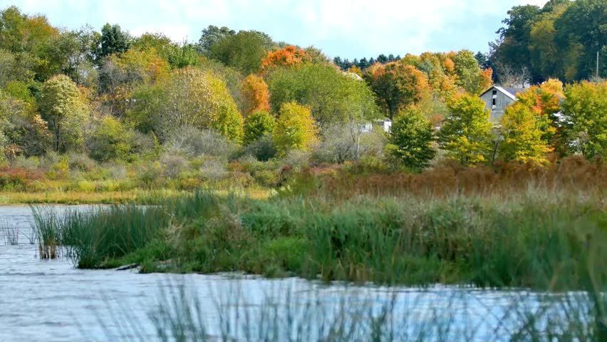 Autumn landscape with colorful trees reflecting in a serene lake on a sunny day