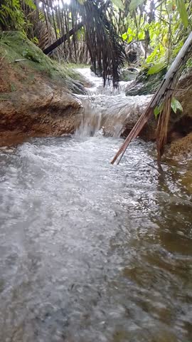 Rapid stream flowing over rocks in a lush tropical forest, with splashes and mossy vegetation creating a vibrant natural scene.