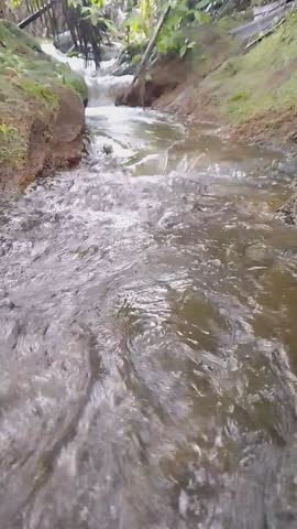 Rapid stream flowing over rocks in a lush tropical forest, with splashes and mossy vegetation creating a vibrant natural scene.