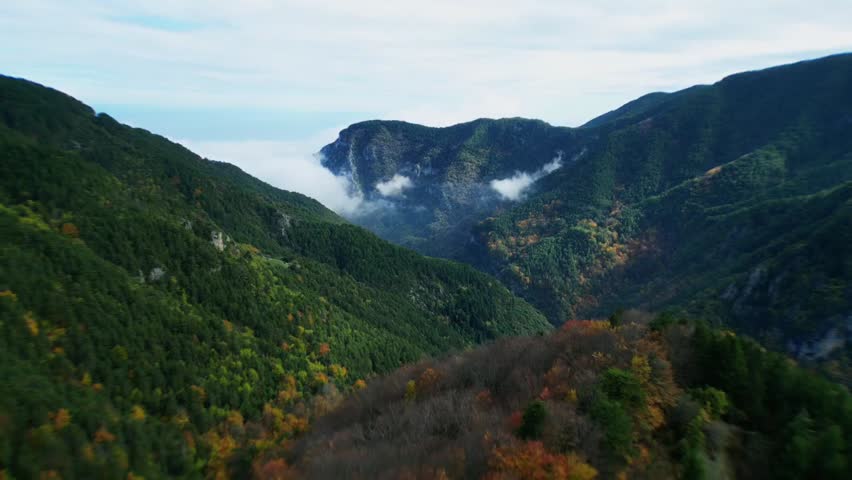 Drone facing sea at Mount Olympus National Park, Greece, showing forested mountains, valley, cloud below mountain peaks, autumn sunshine, scenic mountain landscape.