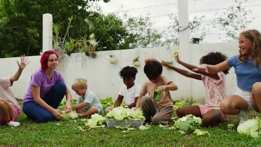 Vegetable garden smiles children playfully gather cabbages from the garden and put them in baskets, tearing off the torn leaves together with their homeroom teacher.
