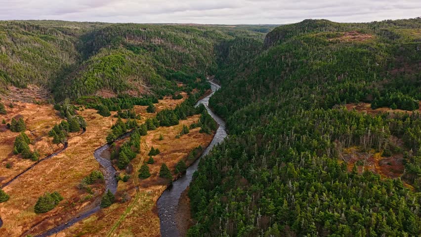 Aerial view of a forested valley where a winding river flows through grassy marsh and golden patches; coniferous hills frame it under a cloudy sky.