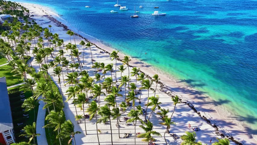 Aerial view of a tropical palm beach in summer. Resort landscape of a seaside peninsula. Dominican Republic coastline with sandy shoreline and palm grove. Aerial view of white ships in the ocean.