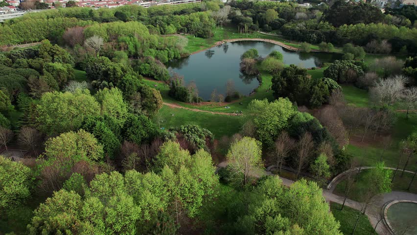 People enjoy Lago do Parque da Cidade in Porto, Portugal, captures the tranquil water and surrounding lush green lawns, highlighting the beauty and serenity of the urban oasis