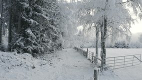 Low drone flight over snowy forest path along wooden fence in winter - Powered by Shutterstock - Get 15% off with code: PIKWIZARD15