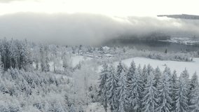 Drone flight toward foggy winter lake over snowy forest and village - Powered by Shutterstock - Get 15% off with code: PIKWIZARD15