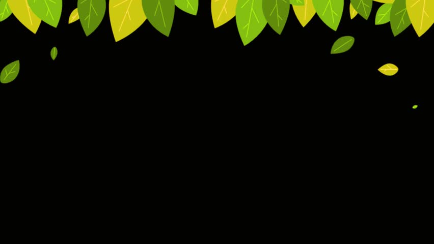 Green leaves frame on a black background. Perfect for nature themed designs and presentations. Use this for your next project. Download now for free!
