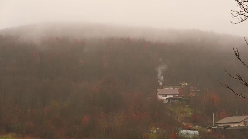 Calm Autumn Scene with Fog and Easy Rain