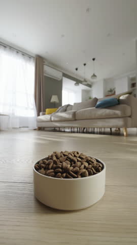 Golden Retriever Jumping Over Sofa And Rushing To Food Bowl In Bright Living Room Showing Healthy Appetite Active Pet Behavior Joyful Energy Clean Home Modern Lifestyle
