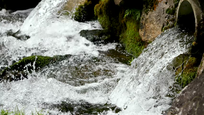 A trout fishing pond along a clear stream