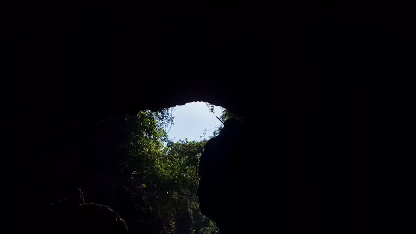 Slow-motion capture of a sunbeam sharply piercing the dark cave ceiling, illuminating the rock walls and surrounding bright foliage.
