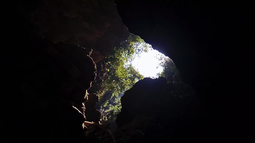 Slow-motion capture of a sunbeam sharply piercing the dark cave ceiling, illuminating the rock walls and surrounding bright foliage.