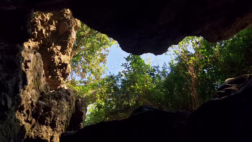 Slow-motion capture of a sunbeam sharply piercing the dark cave ceiling, illuminating the rock walls and surrounding bright foliage.