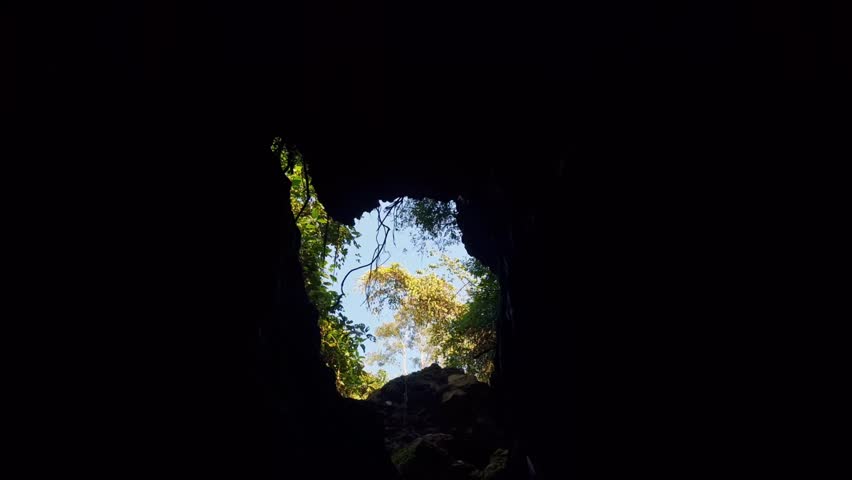 Slow-motion capture of a sunbeam sharply piercing the dark cave ceiling, illuminating the rock walls and surrounding bright foliage.