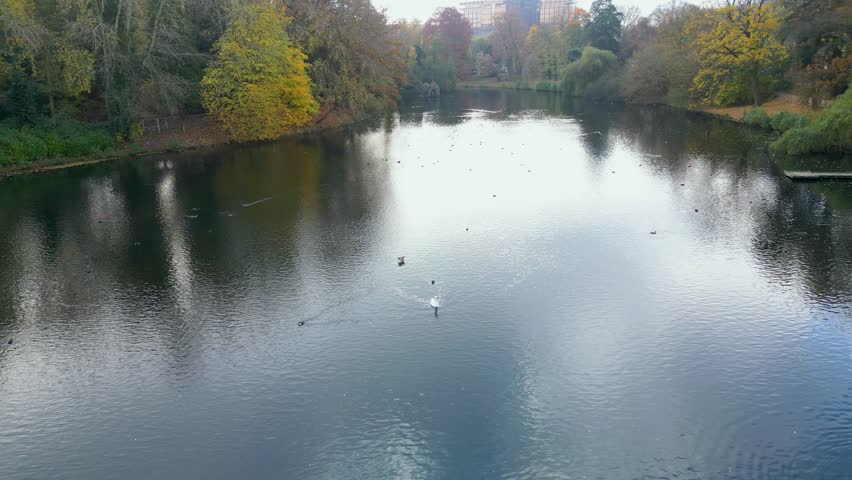 Aerial view of the tranquil lake reflects the cloudy sky, Belgium.