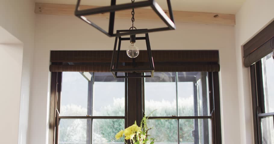 Camera focusing high then pulling back, translucent HUD fading in and visualizing metrics over vase. Dining, flowers, yellow, pendant, sunroom, interior, daylight