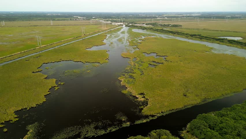 Aerial view of everglades wetlands, United States.