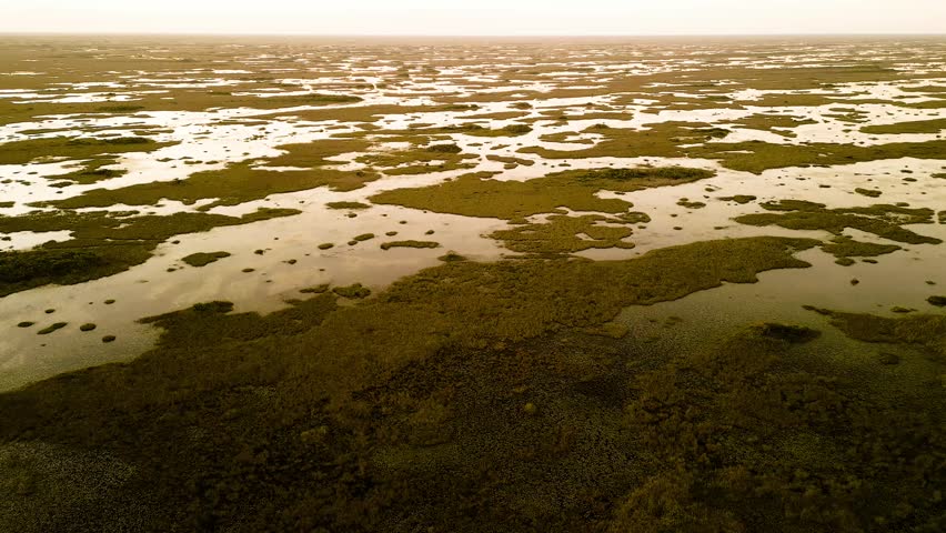 Aerial view of everglades marshland, United States.