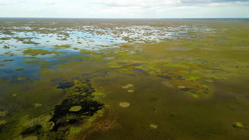 Aerial view of the everglades wetlands, United States.