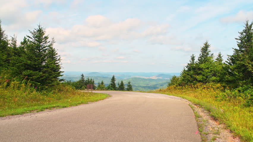 Spruce Knob mountain ridge forest point of view car driving shot on spruce pine forest, wild fireweed flower wildflowers in West Virginia