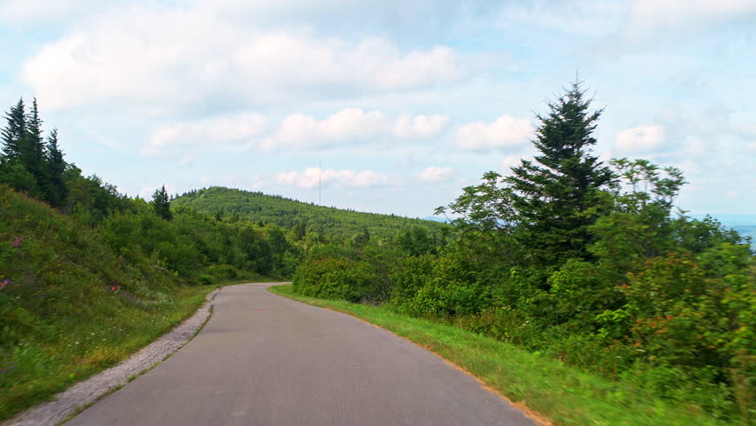 Spruce Knob mountain ridge forest point of view car driving in green summer at morning sunrise in West Virginia