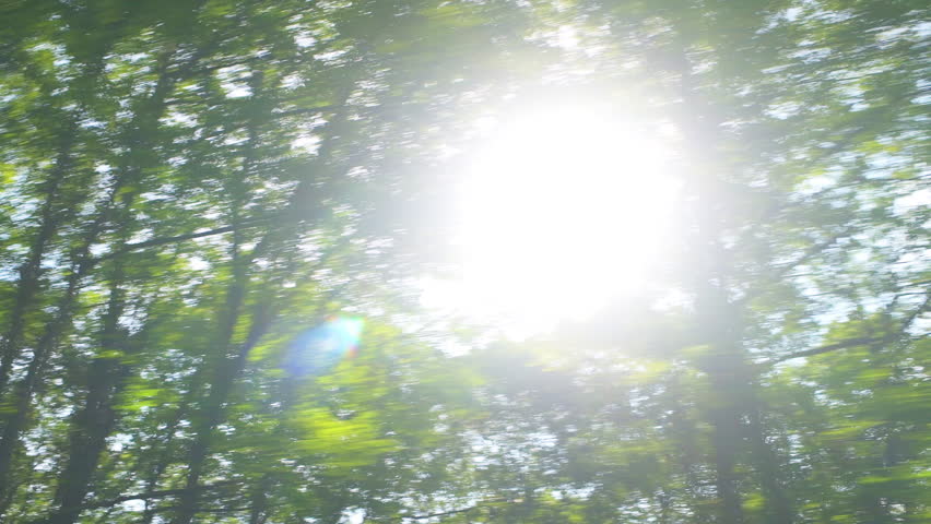 Point of view pov looking up car driving shot at Spruce Knob West Virginia road, sun behind trees in summer, blue sky