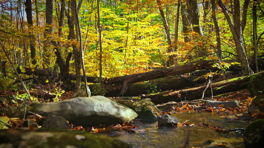 Waterfall at Shamokin springs nature preserve hiking trail in Wintergreen Resort, Virginia in Blue Ridge mountains in colorful autumn fall season