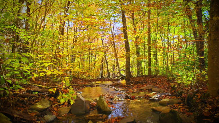 Waterfall of Shamokin springs nature preserve hiking trail in Wintergreen Resort Virginia in Blue Ridge mountains in colorful autumn fall season