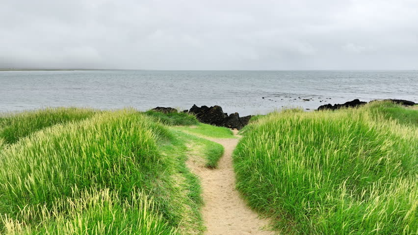 Surreal Coastal Landscape with Yellow Sand Beach and Grass Covered Hills