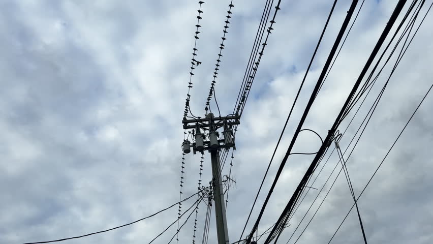 New York, NY, USA – November 14 2025: Overhead utility wires and a distribution pole stand against a cloudy sky, showing dense electrical infrastructure. Small birds perch along power lines 