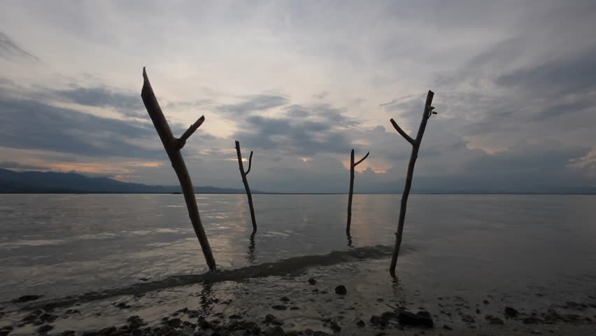 The tranquil shores of Lake Limboto with wooden poles at dusk. Shot in low angle.