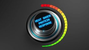 scientific display overview, hightech interface displaying molecular heat response data in lab, chromed control interface illustrating dynamic heat shock protein activation for biological study - Powered by Shutterstock - Get 15% off with code: PIKWIZARD15