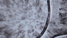 Car driving on a winding snowy road through a dark winter forest at night, capturing motion and icy landscape. Perfect for winter, driving, and cinematic road visuals. - Powered by Shutterstock - Get 15% off with code: PIKWIZARD15