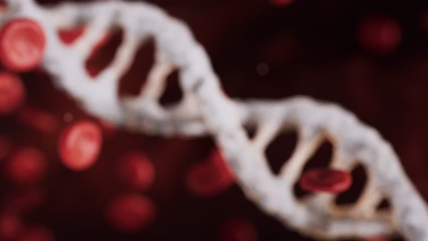 
Red blood cells and biological DNA with medical concept, 3d rendering 4k