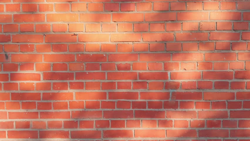 A textured red brick wall background with tree shadows cast on it