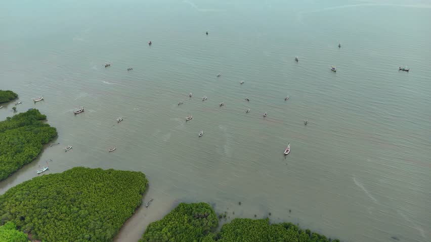 Aerial top view of traditional fishing boats near lush mangrove forest coast of Pamekasan, Indonesia