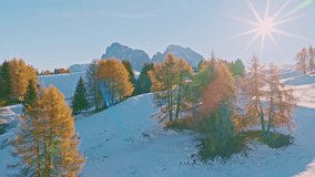 Cinematic aerial drone shot of a golden autumn trees with snow-covered peaks of the Italian Dolomites in the background. Sunrise light highlights the glowing larch trees and the dramatic mountain - Powered by Shutterstock - Get 15% off with code: PIKWIZARD15