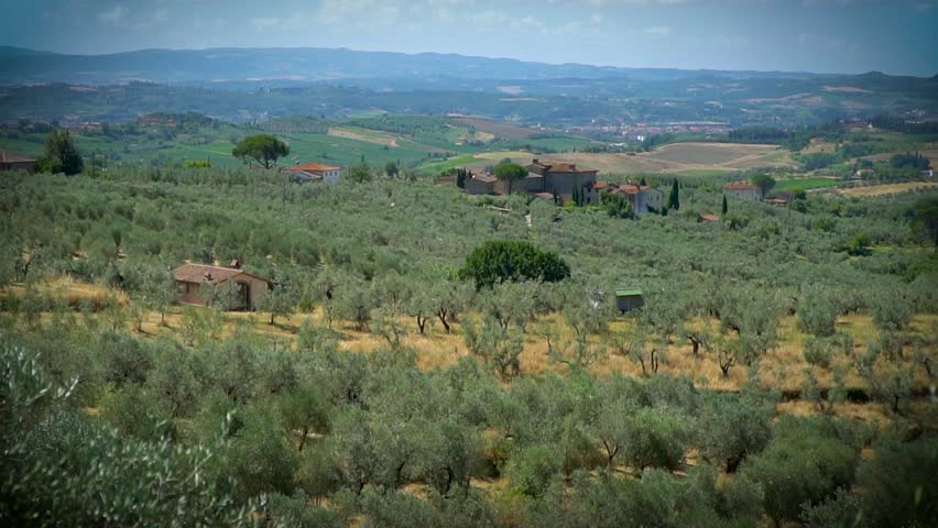 Tuscan landscape with a gentle hillside, olive groves, and a farm.