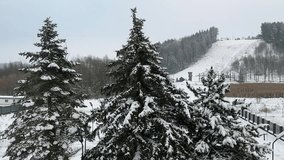 Description:
Peaceful winter landscape featuring snow-covered evergreen trees, a hillside ski slope, and a quiet forest area under an overcast sky.
 - Powered by Shutterstock - Get 15% off with code: PIKWIZARD15