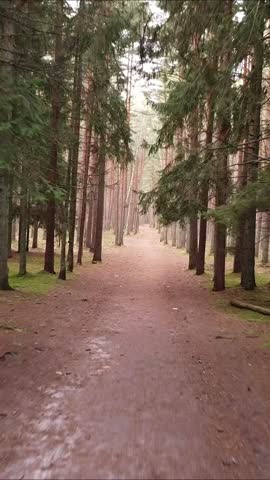 Aerial footage of a drone flying low over a forest path, capturing rich foliage and natural forest detail, Vertical 9:16.