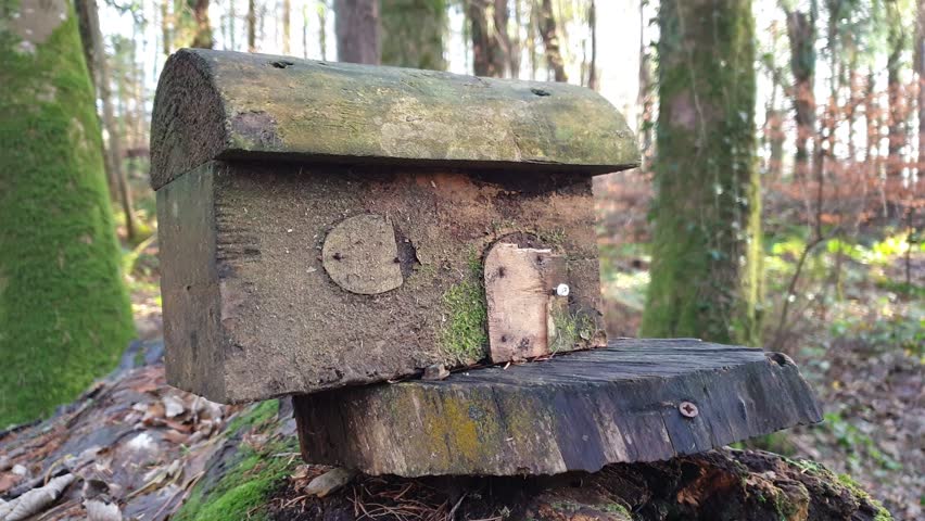 Fairy Door Walk in Belleek, Ireland – Magical Forest Trail with Tiny Fairy Doors