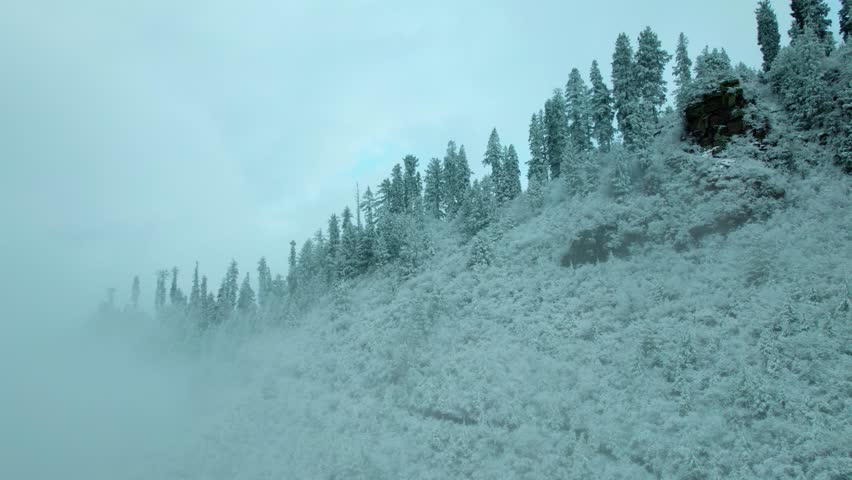4K Aerial shot of snow covered trees covered with clouds on top of the mountain at Manali, Himachal Pradesh, India. Drone footage of the forest in winter time. Fresh snow on peak. Nature background.