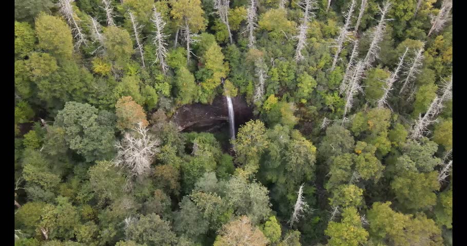 Aerial View of Mountain Waterfall – Douglas Falls North Carolina