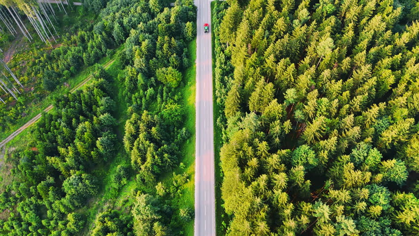 Long straight highway in the woods crossed by the ground road. Wilderness footage from drone on summer day.