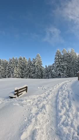 Point of view shot walking on a snowy path with footprints leading towards a forest of fir trees under a beautiful blue sky, a perfect day for hiking and outdoor winter activities