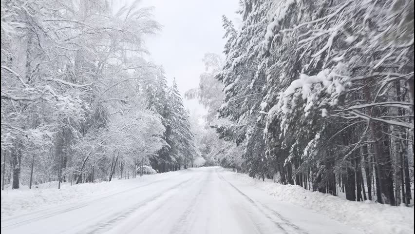 Winter forest road covered with deep snow, captured from a moving vehicle, showing frosted trees, white landscape, travel and nature themes