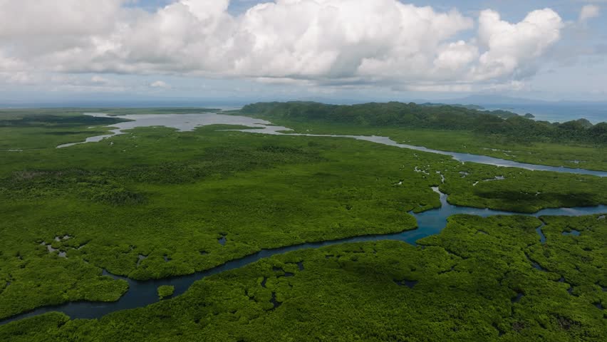 Aerial view of mangrove forest with winding river channels and green hills under cloudy sky. Siargao, Philippines.