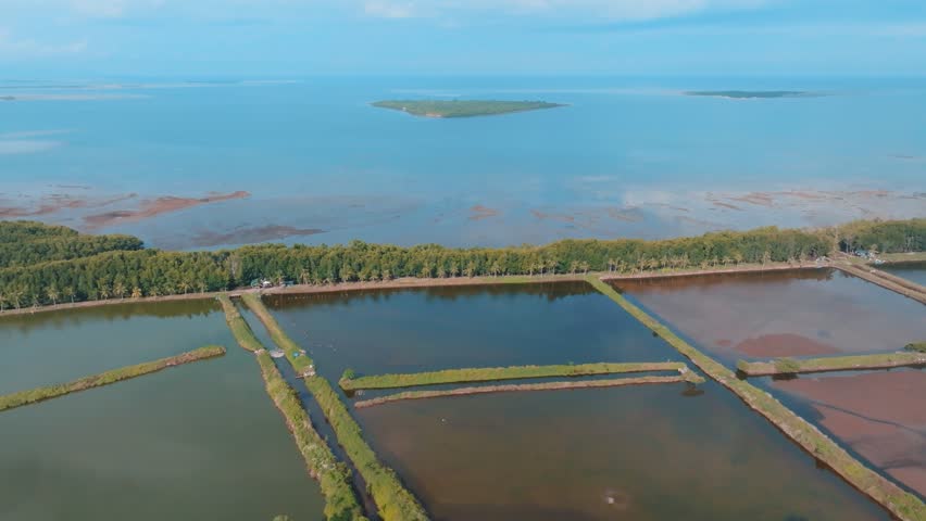 Aerial View Of Aquaculture Fish Ponds and Shrimp Farms in Puerto Princesa, Palawan Philippines
ectangular brackish water ponds used for farming Milkfish or shrimp