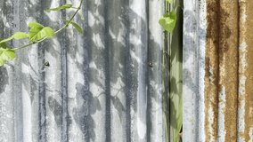 Shadows of delicate plants move gently across a rusty corrugated metal surface. Subtle camera motion and shifting light create an organic, textured, and calming atmospheric scene. - Powered by Shutterstock - Get 15% off with code: PIKWIZARD15