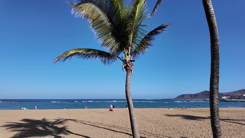 Las Canteras beach in Las Palmas de Gran_Canaria